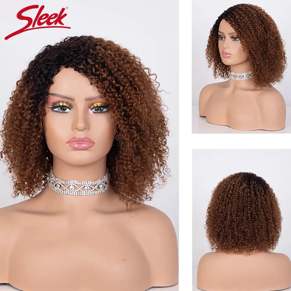 Sleek Afro Kinky Curly Black Human Hair Wigs