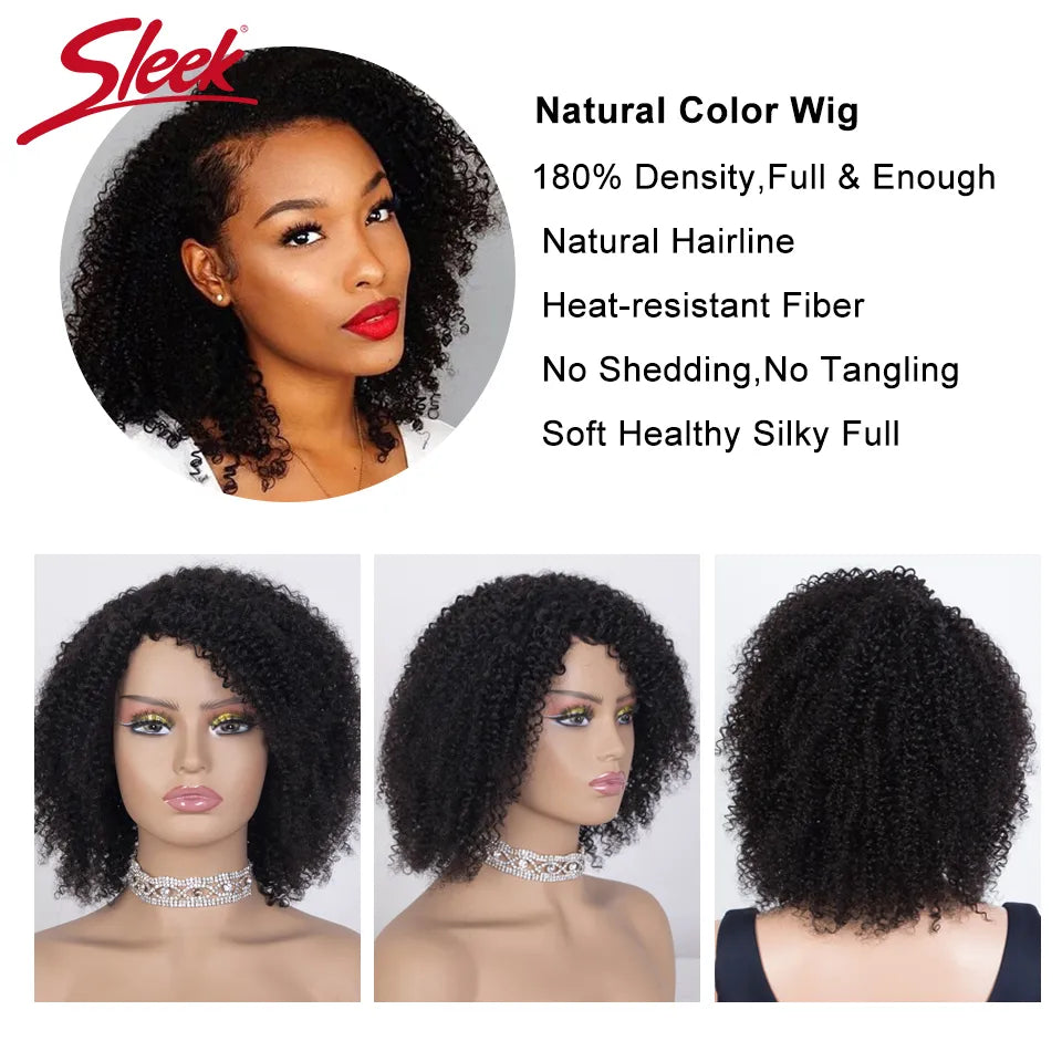 Sleek Afro Kinky Curly Black Human Hair Wigs